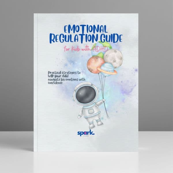 Emotional Regulation Guide